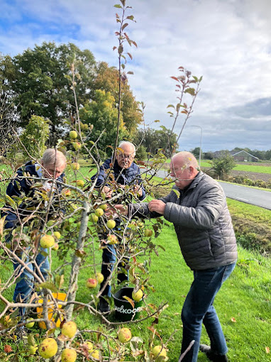 Appels plukken in de tuin