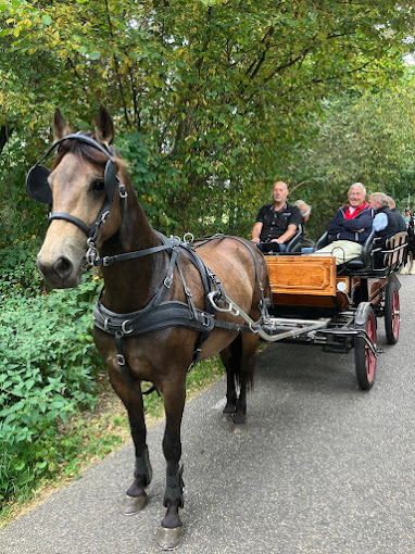 Paardrijtocht met deelnemers